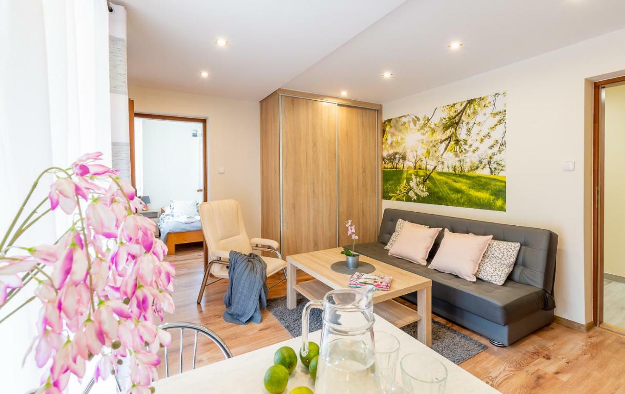 Apartament I Pokoje Goscinne U Lusi 维斯拉 外观 照片
