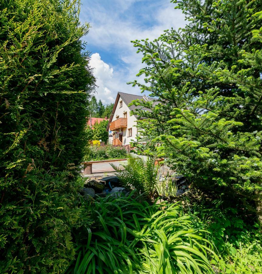 Apartament I Pokoje Goscinne U Lusi 维斯拉 外观 照片