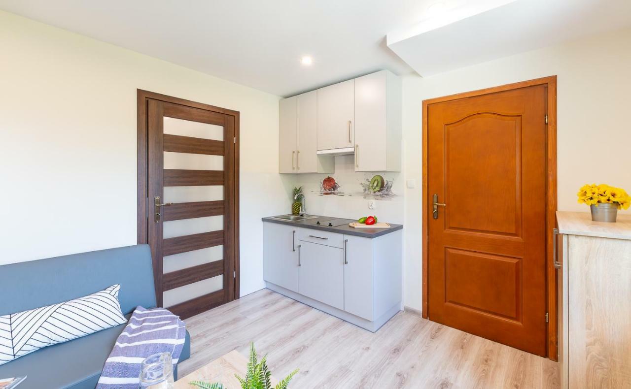 Apartament I Pokoje Goscinne U Lusi 维斯拉 外观 照片